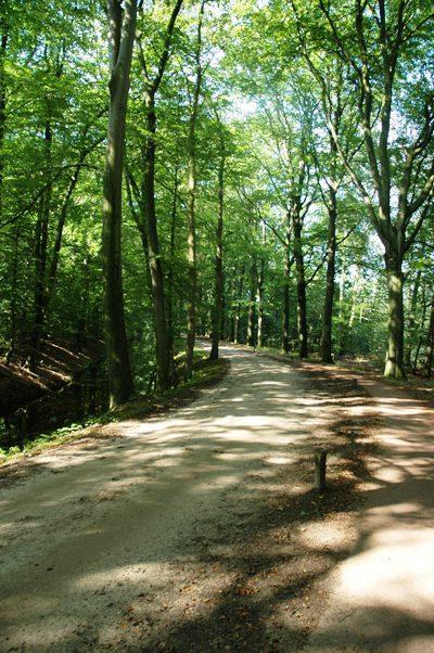 Twentekiek Βίλα Delden Εξωτερικό φωτογραφία